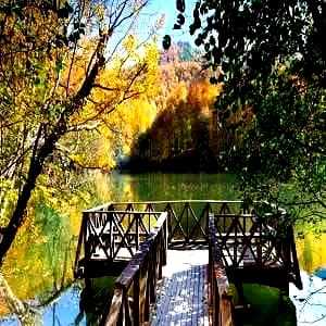 Bolu Evden Eve Nakliyat