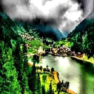 Trabzon Evden Eve Nakliyat